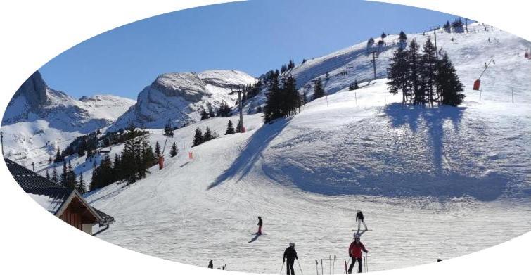 Studio Pied Des Pistes Вилар-де-Лан Екстериор снимка