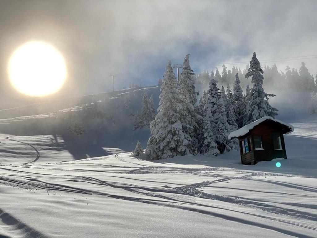 Studio Pied Des Pistes Вилар-де-Лан Екстериор снимка